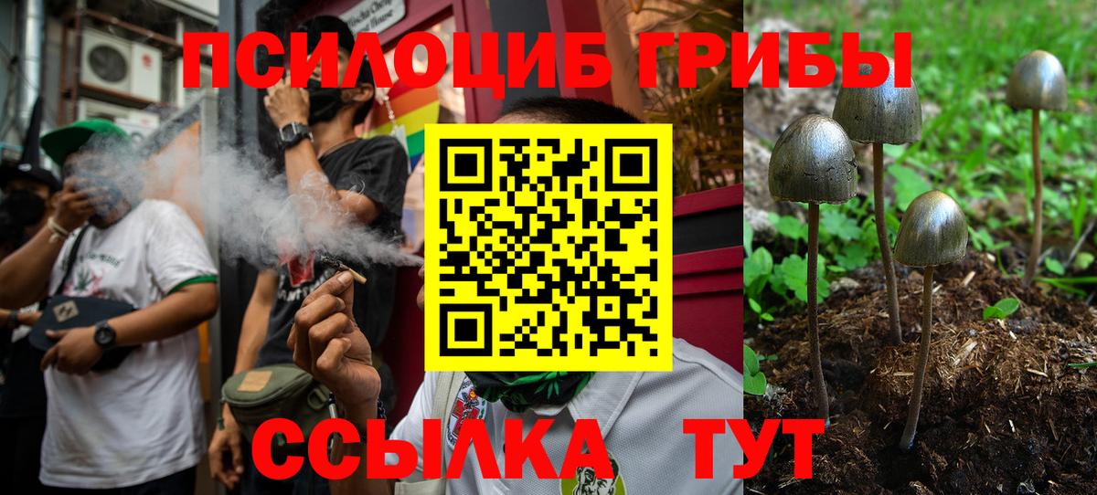 Отрадный  Псилоцибиновые грибы Psilocybine cubensis  Псилоцибиновые грибы MAGIC MUSHROOMS  Вход с VPN 